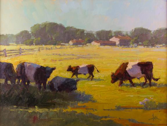 Summer Pasture at Cooke's Hope